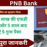 करवाये अभी एक लाख रुपये की एफडी पीएनबी बैंक में, पाये 5 साल बाद पांच गुना पैसा