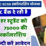 HDFC Bank Scholarship : HDFC बैंक दे रहा 75,000 रुपये तक स्कॉलरशिप, जानिए कैसे करें आवेदन!