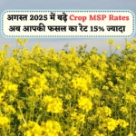 Crop MSP Rates August 2025 में 15% बढ़े – जानिए आपके फसल का नया Rate