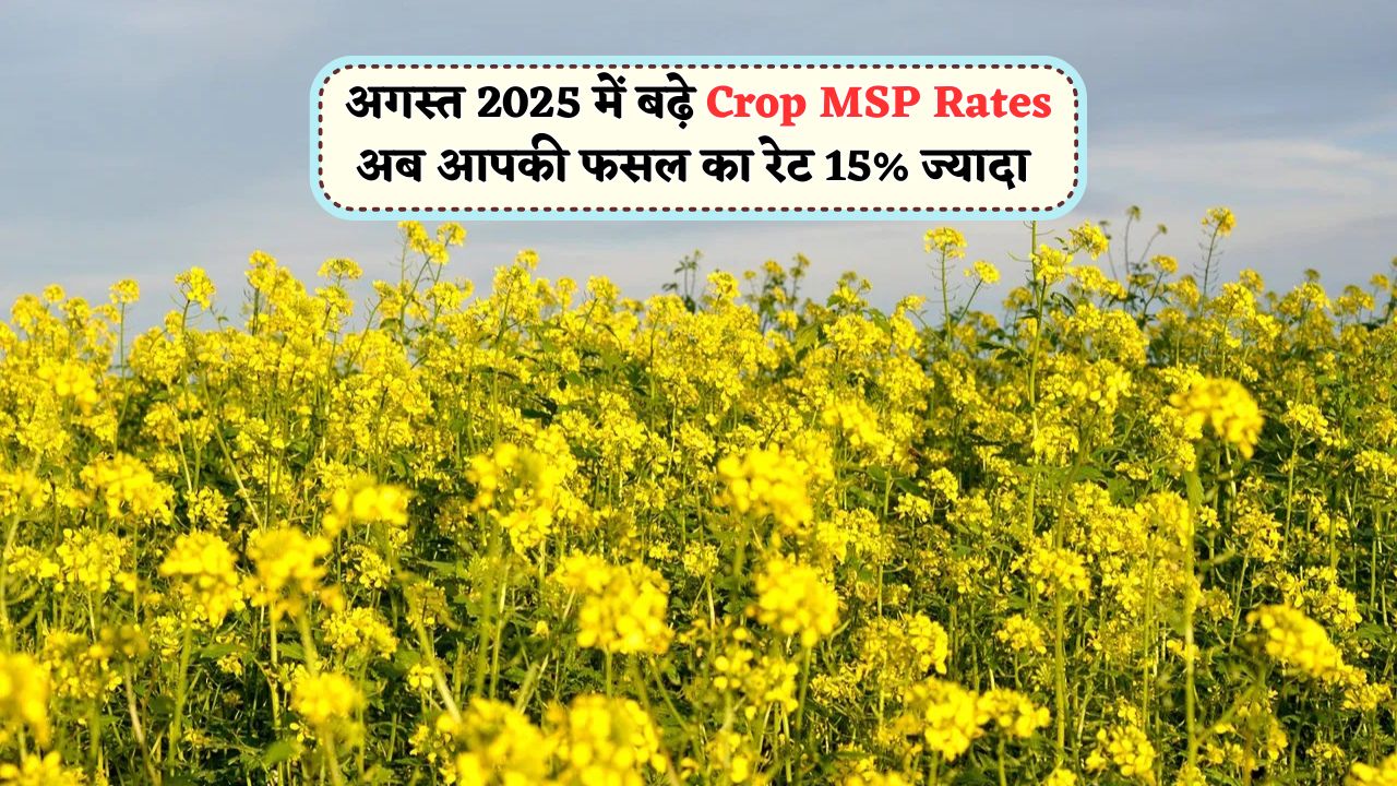 Crop MSP Rates August 2025